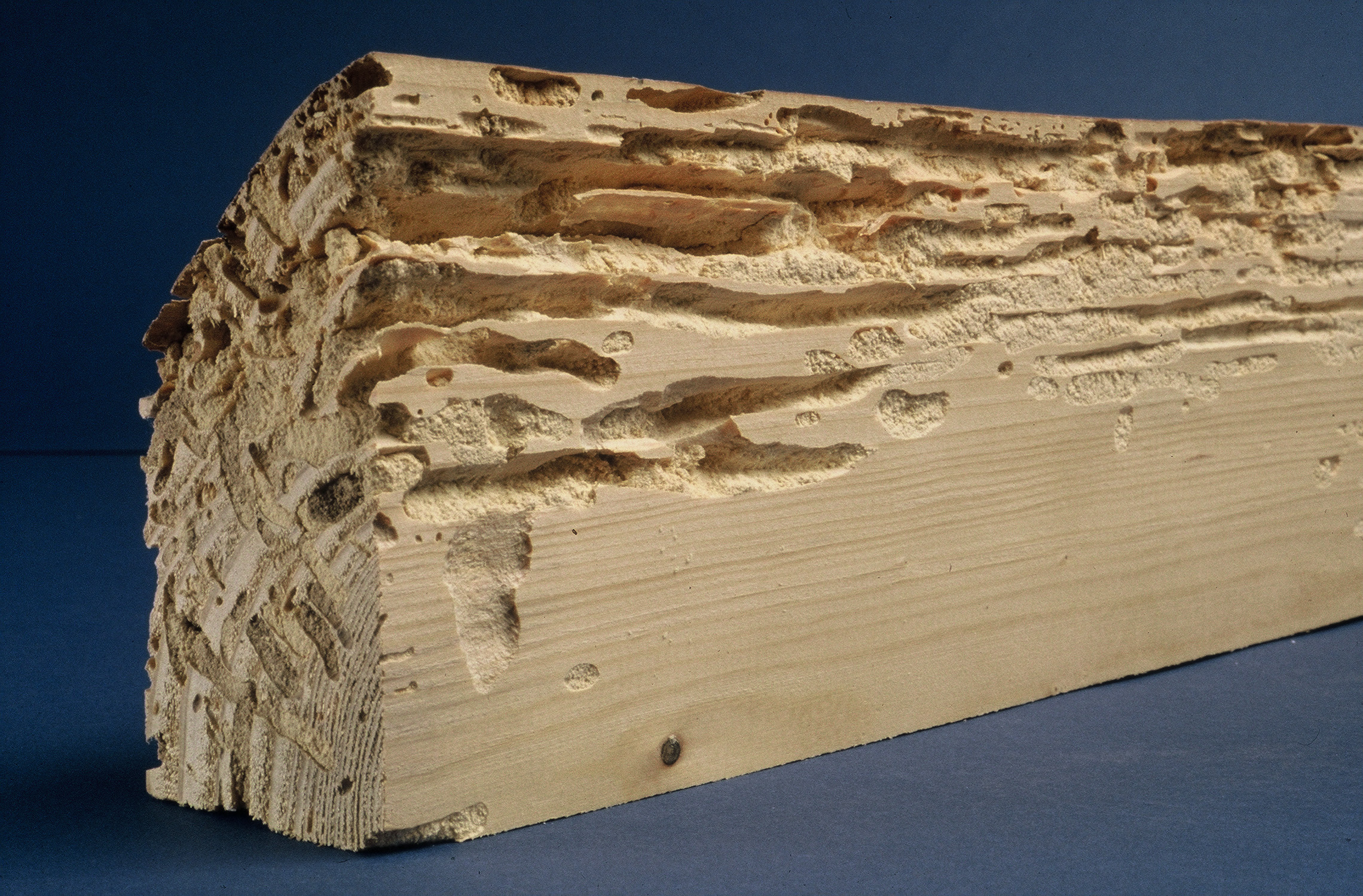 Traitement de charpente, bois à Toulouse